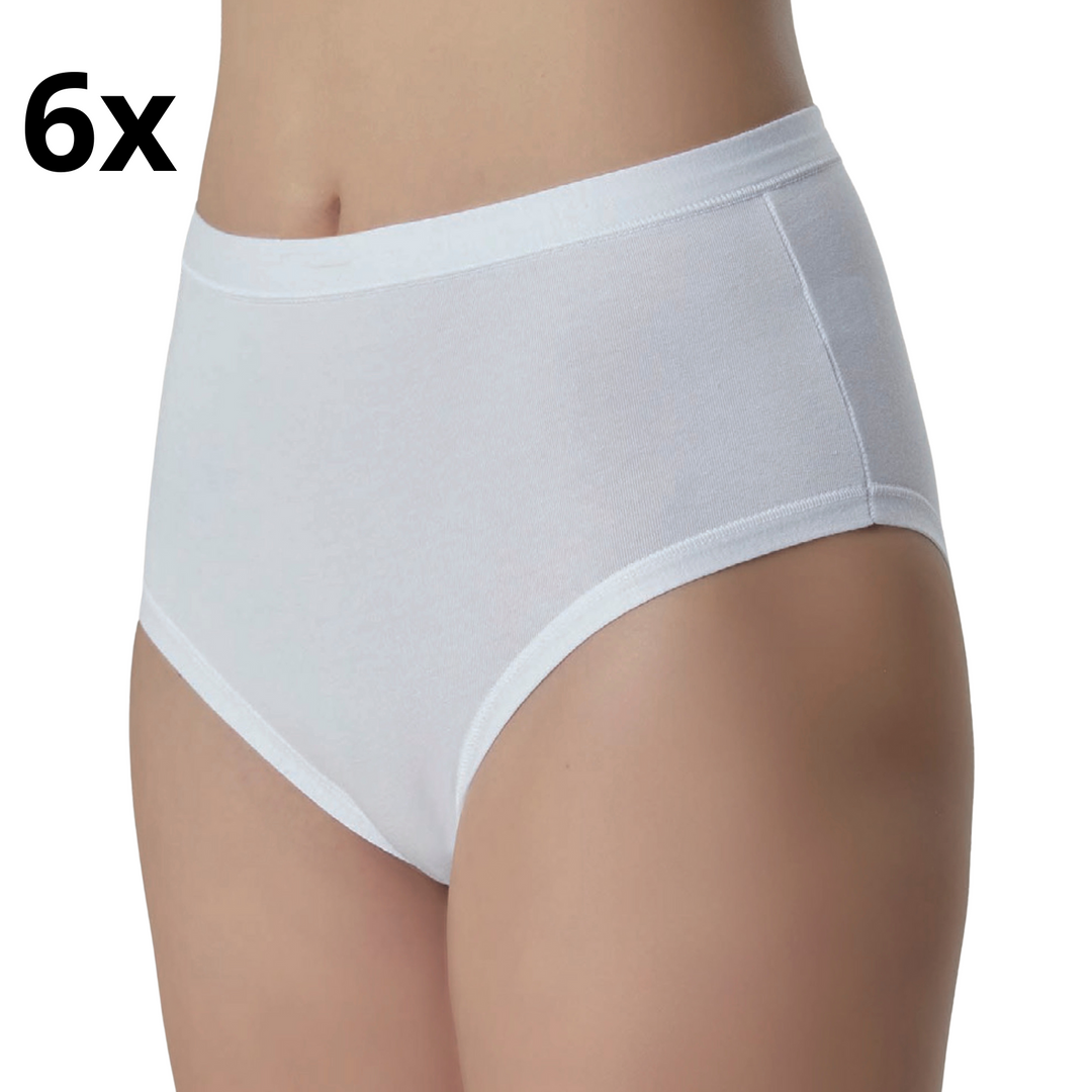 6 Slip Donna Vita Alta Cotone Elasticizzato Mutande Culotte Intimo da alte